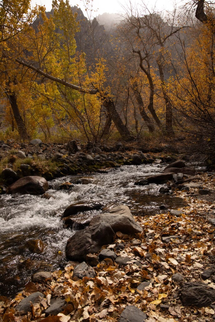 Mcgee canyon (10 13 25) photo credit samantha lindberg mammoth lakes tourism 16