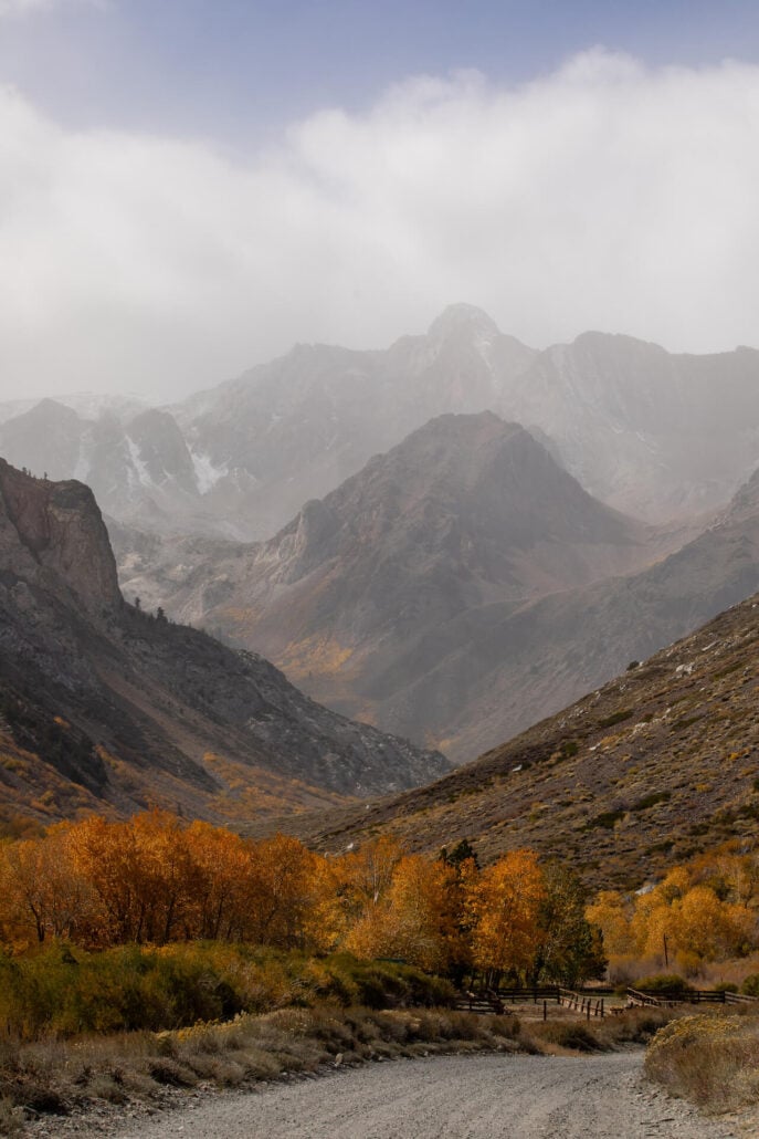 Mcgee canyon (10 13 25) photo credit samantha lindberg mammoth lakes tourism 2