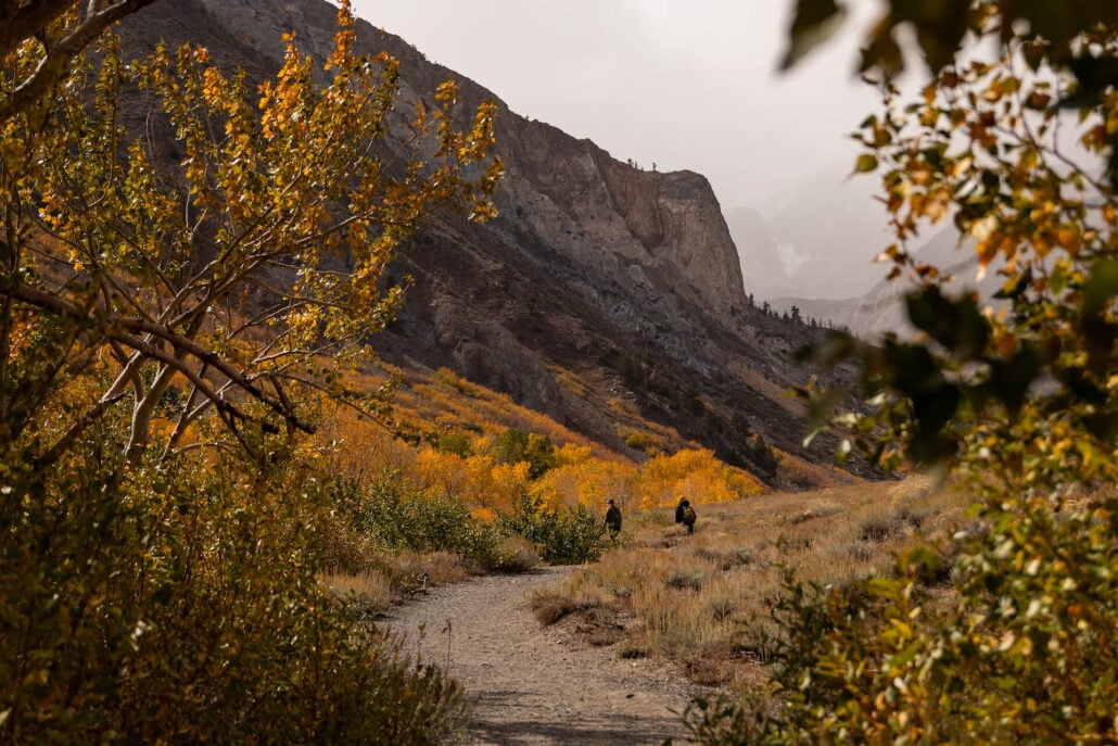 Mcgee canyon (10 13 25) photo credit samantha lindberg mammoth lakes tourism 3