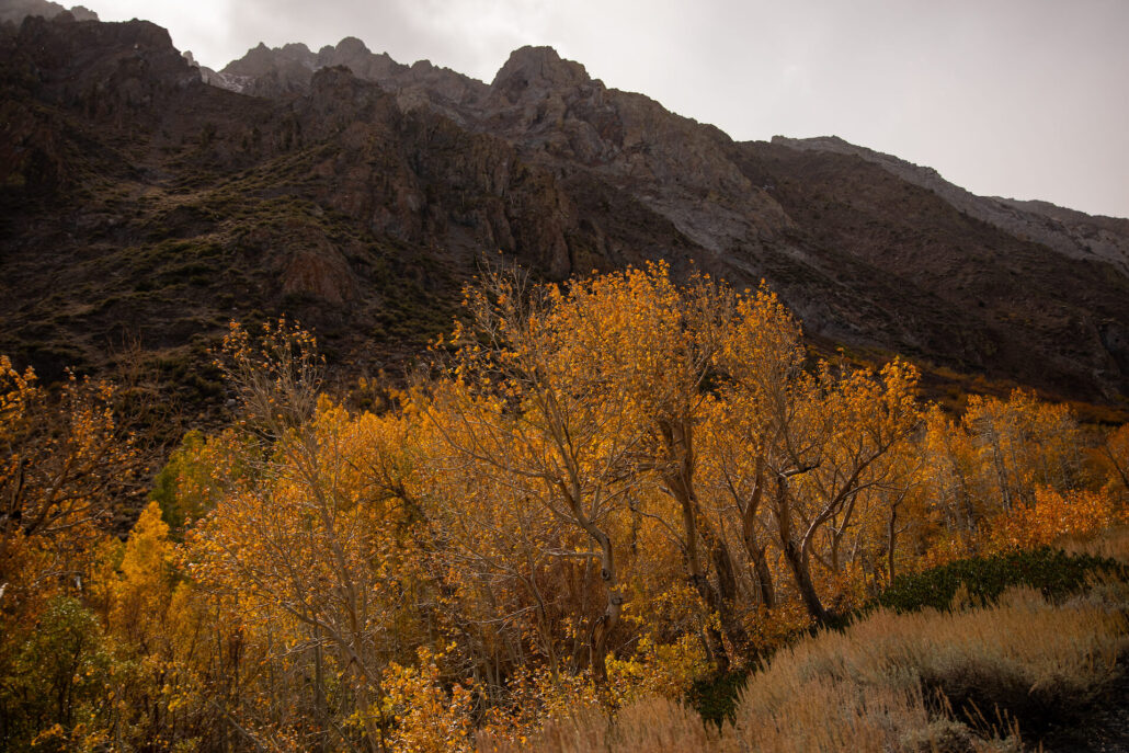Mcgee canyon (10 13 25) photo credit samantha lindberg mammoth lakes tourism 6