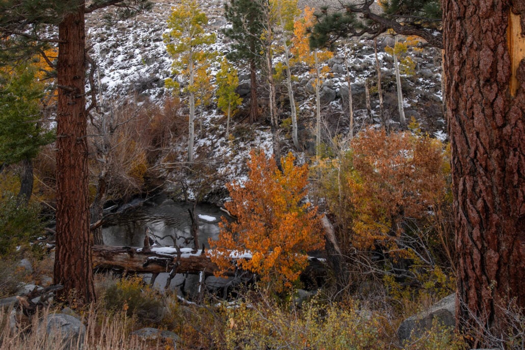 Mcgee creek