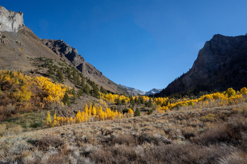 Mcgee creek
