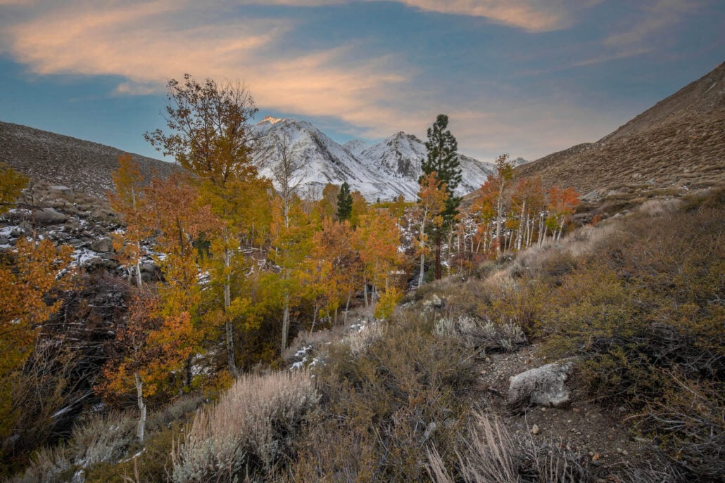 Mcgee creek road