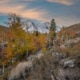 Mcgee creek road
