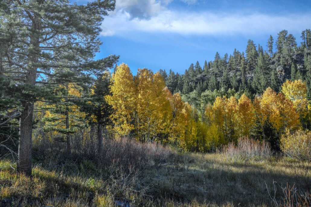 Meadow near sorensons