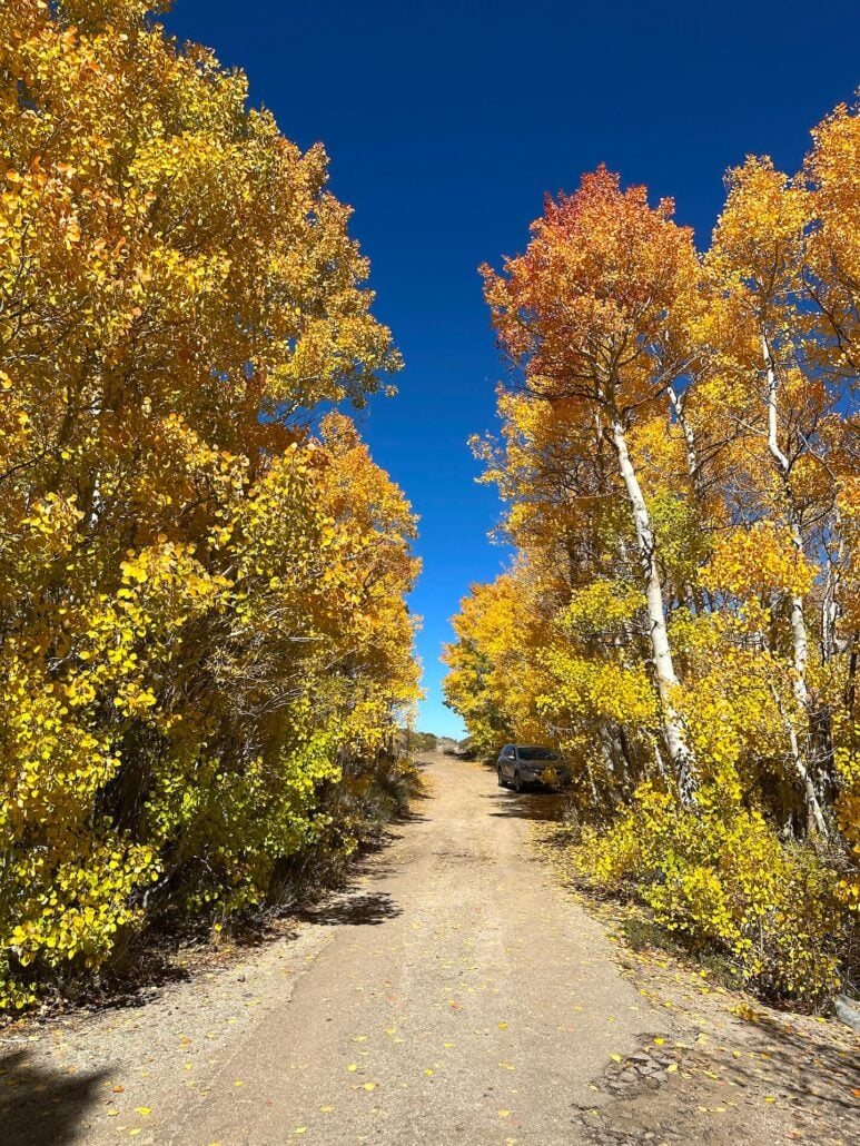 Mountain glen area 10 7 25 2