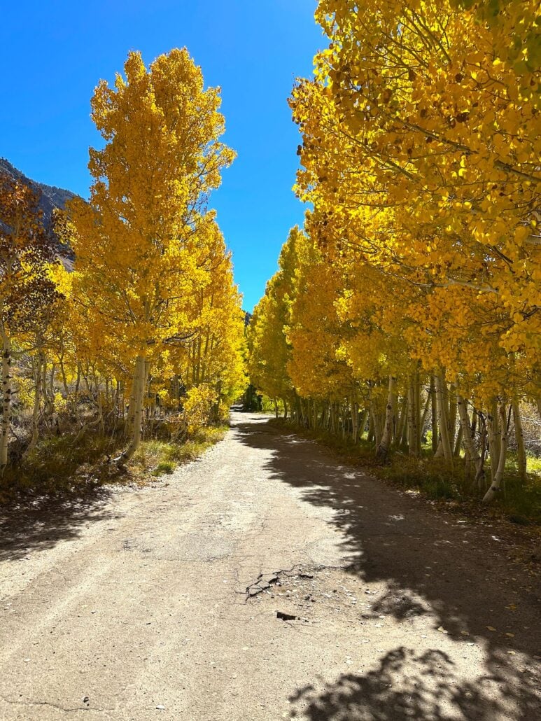 Mountain glen area 10 7 25 3
