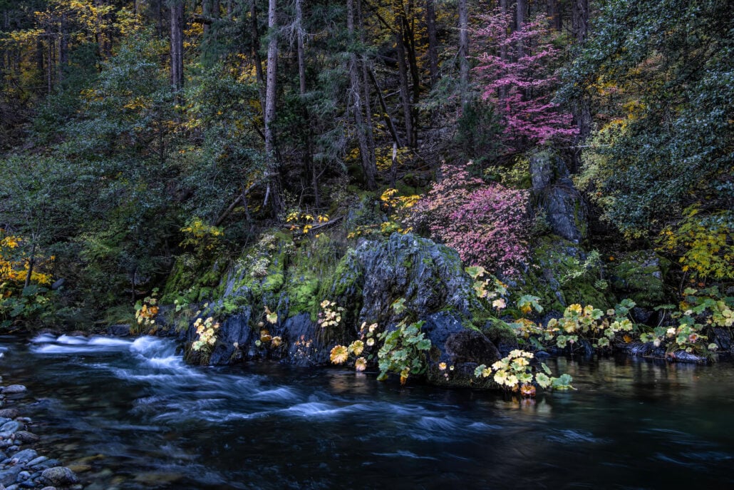 North fork yuba river near downieville