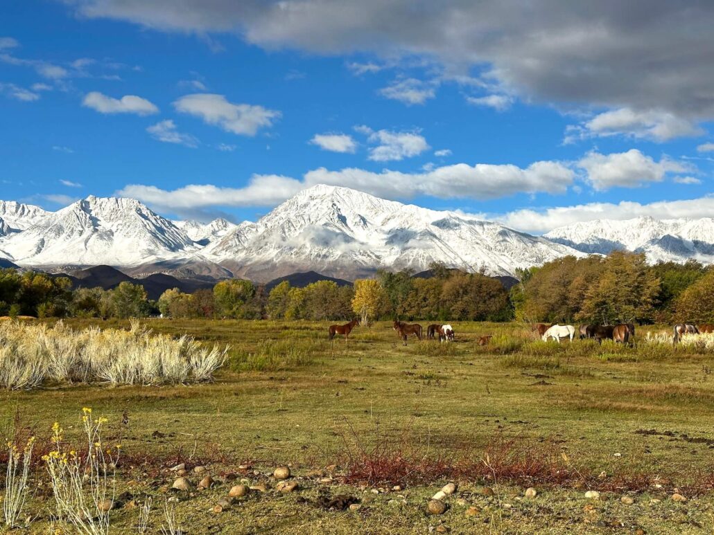 Owens valley bishop10 15 25 1