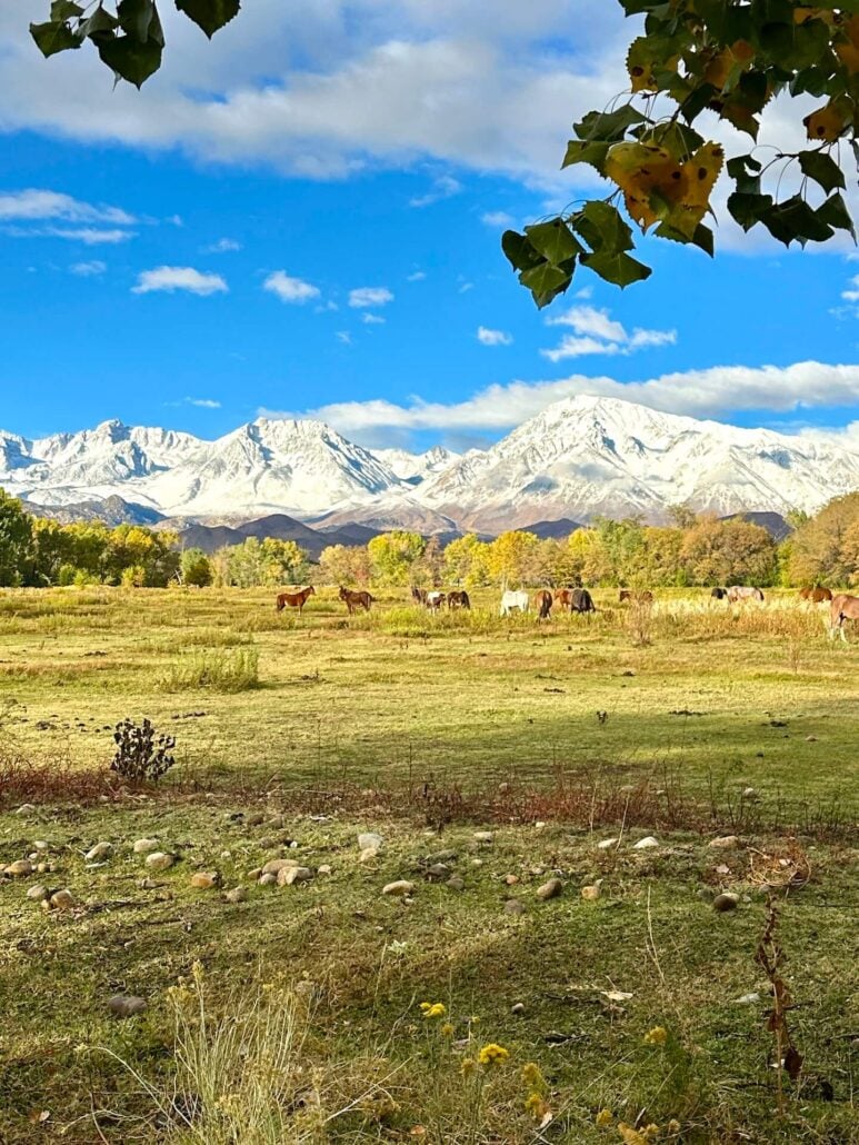 Owens valley bishop10 15 25 3