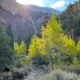 Pine creek 10 1 25 5