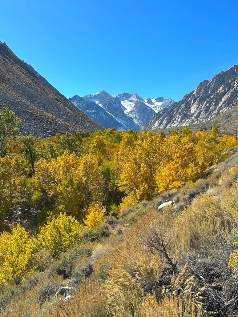 Pine creek 10 21 25 1