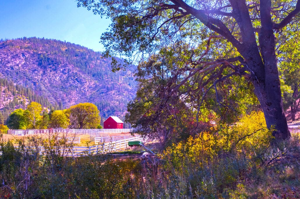 Plumas decorated in fall in beckwourth genesee rd courtesy of bob blesse