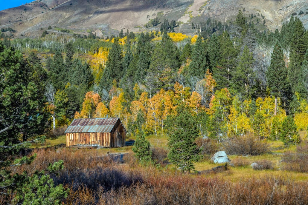 Red lake creek cabin 1