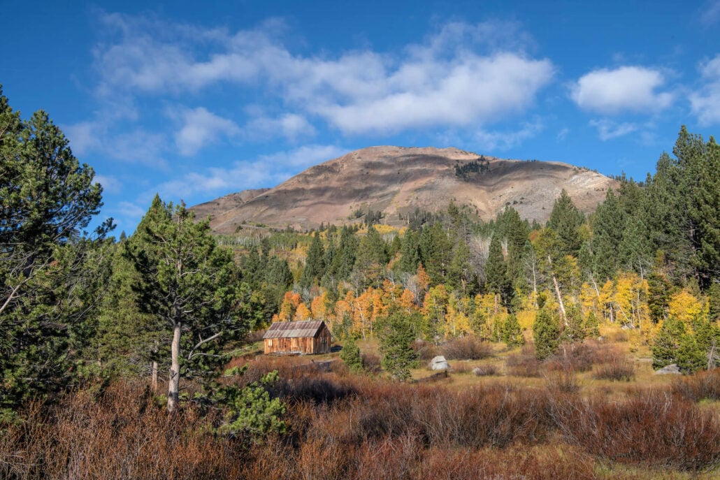 Red lake creek cabin 2