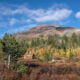 Red lake creek cabin 2