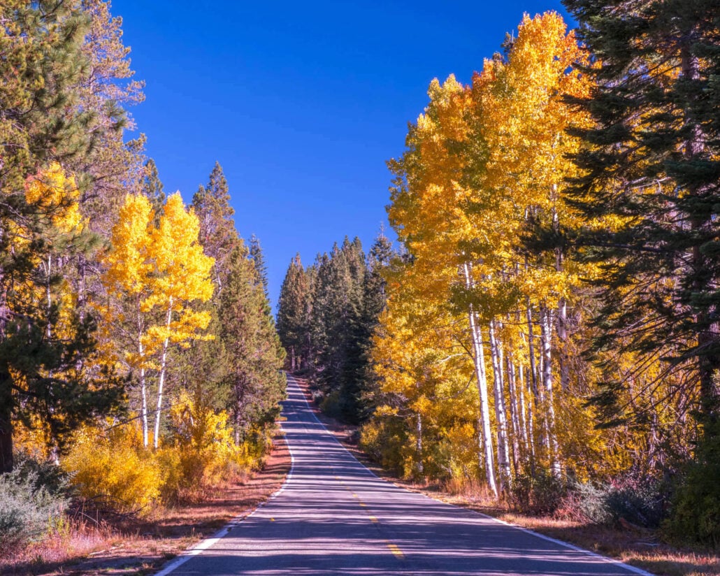 Road trip to bucks lake road won't disappoint by bob blesse