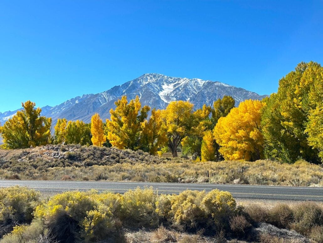 Round valley 10 21 25 2
