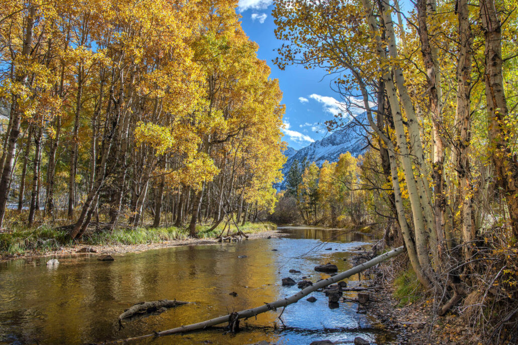 Rush creek