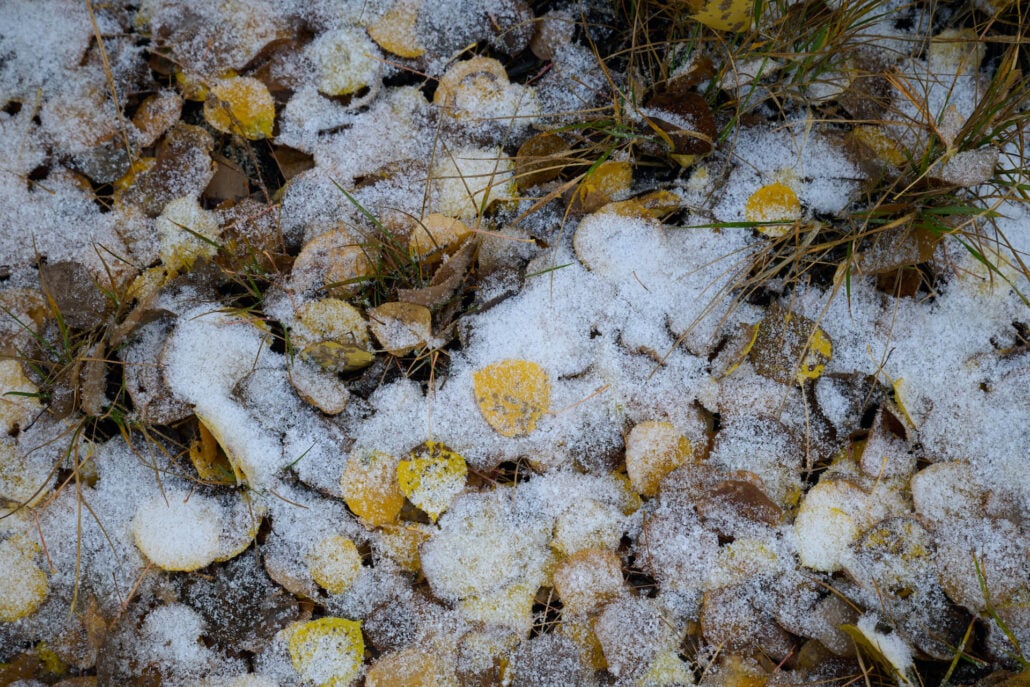 Snow at south lakeweb3000px
