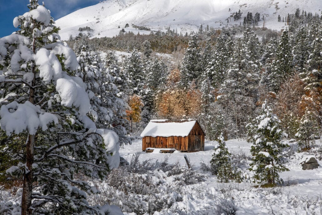 The cabin