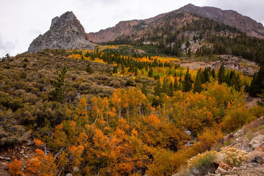 Tioga pass (10 29 25) photo credit samantha lindberg mammoth lakes tourism