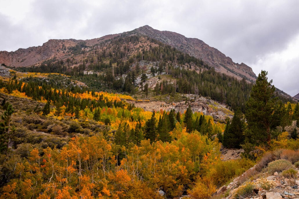 Tioga pass (10 29 25) photo credit samantha lindberg mammoth lakes tourism 5