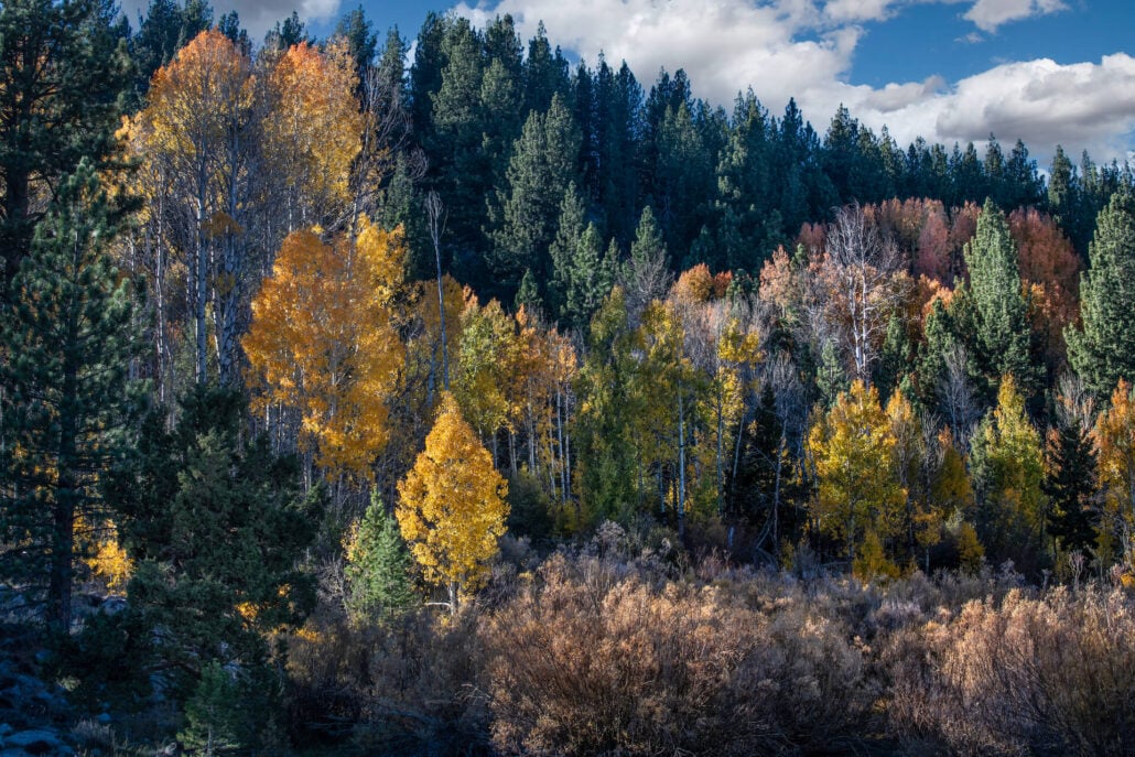 View from the west carson river
