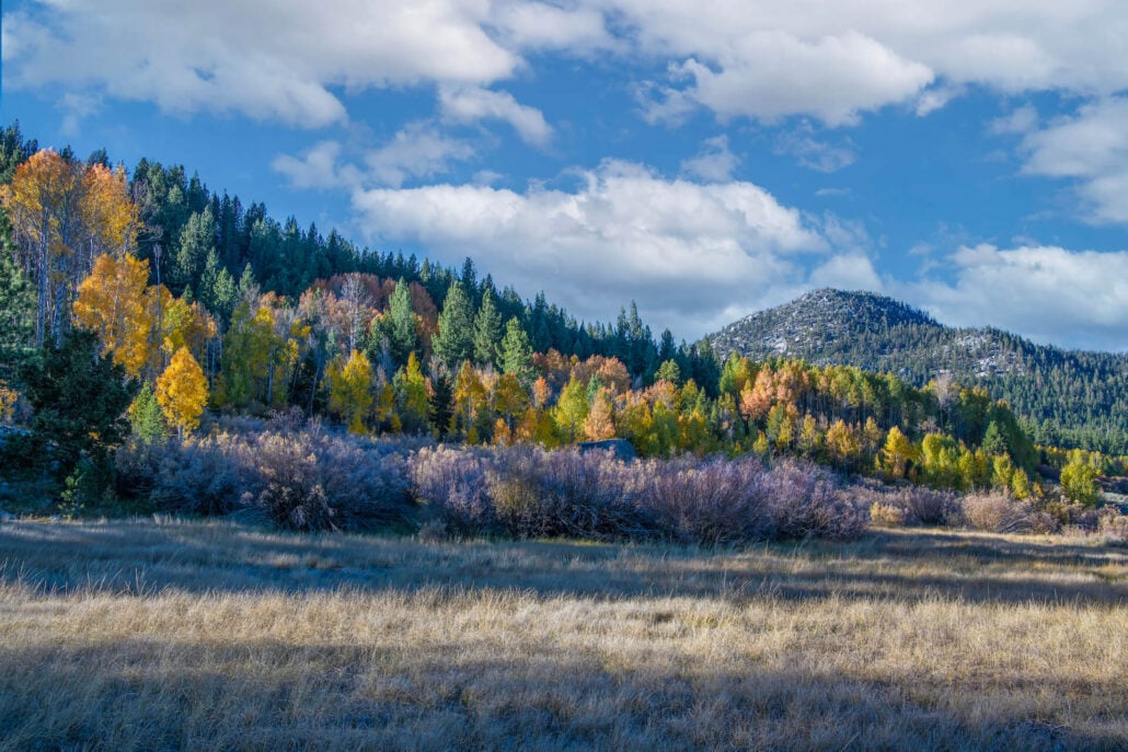 View from the west carson river 5