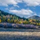 View from the west carson river 5
