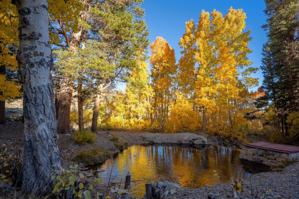 Virginia lakes area (1)