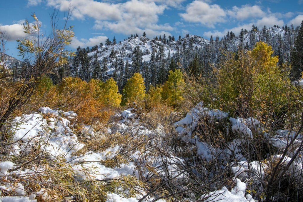 West walker river canyon 2
