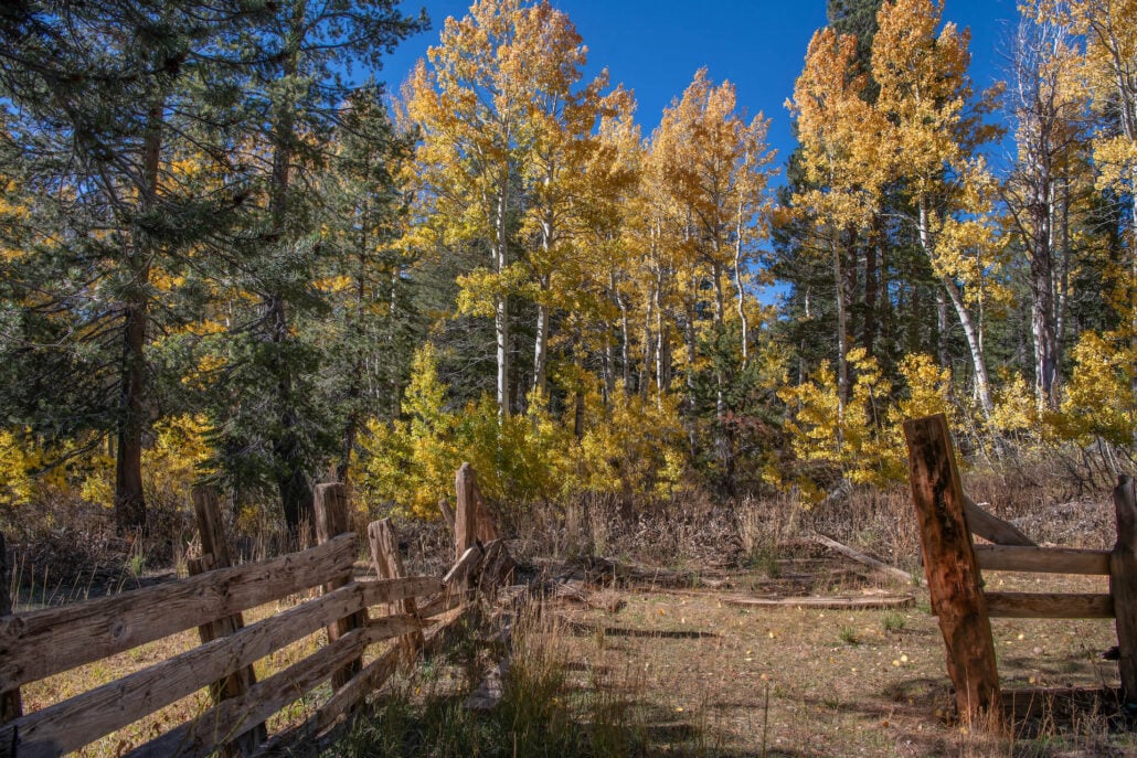 Woods lake corral