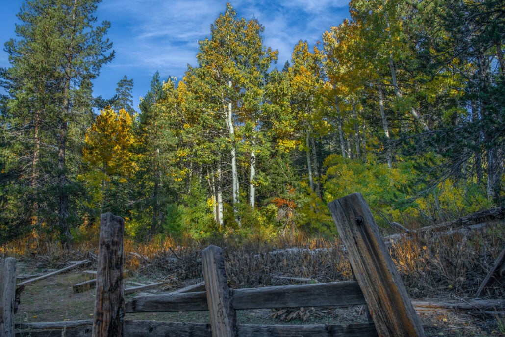 Woods lake corral