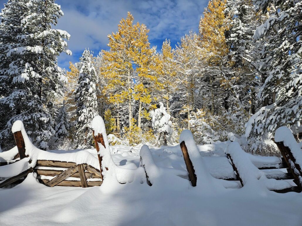 Woods lake corral