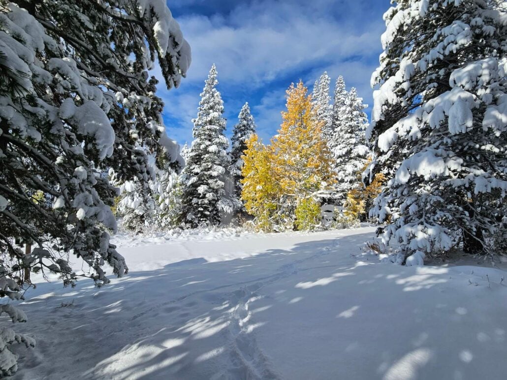 Woods lake road