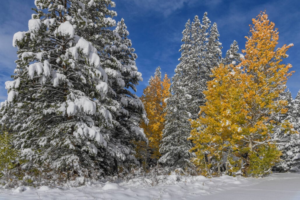 Woods lake road 2