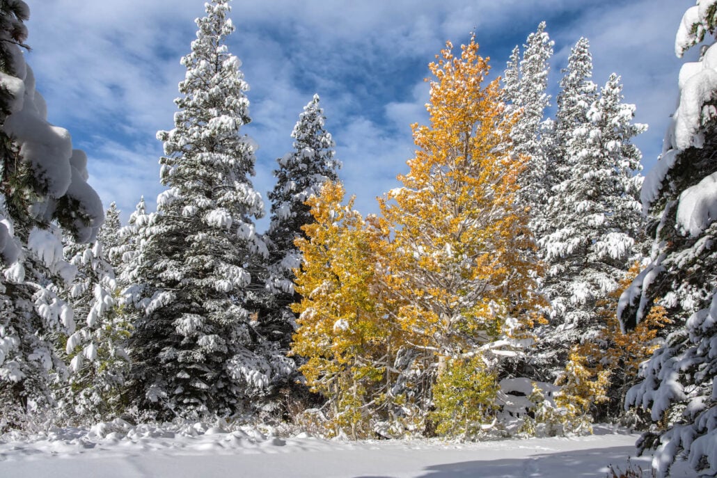 Woods lake road 4