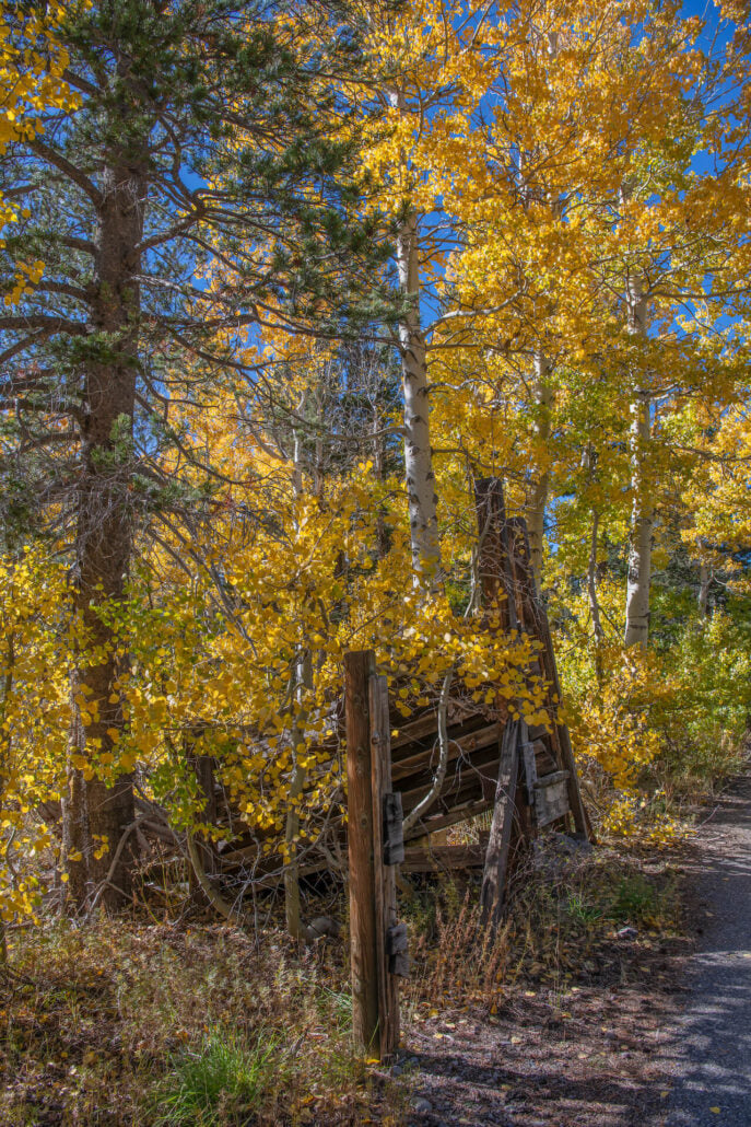 Woods lake road