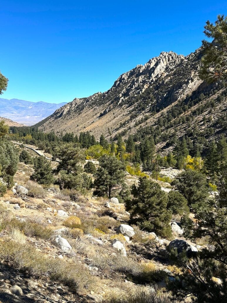 Big trees camp10 7 25, 12 23 45 pm