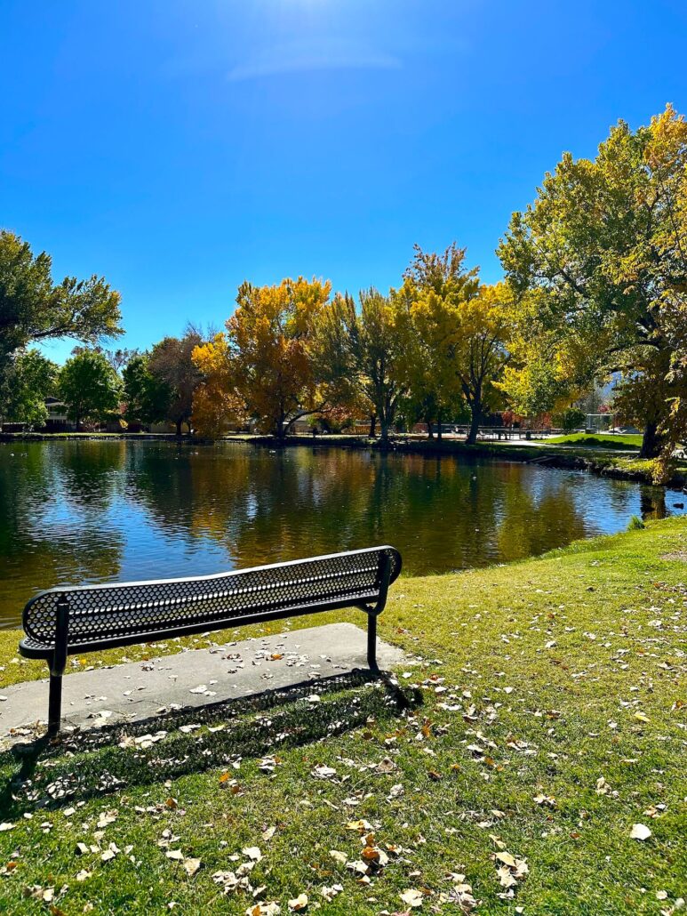 City park oct 28 2025, 1 20 04 pm