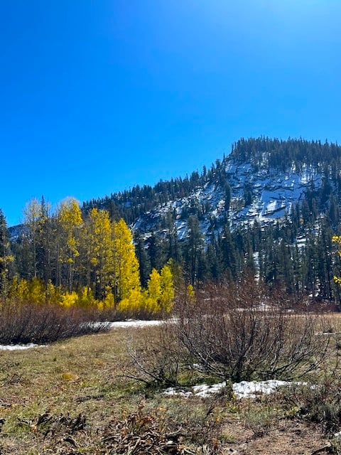 Image1