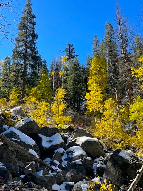 Image6