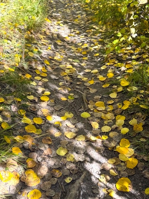 Image7