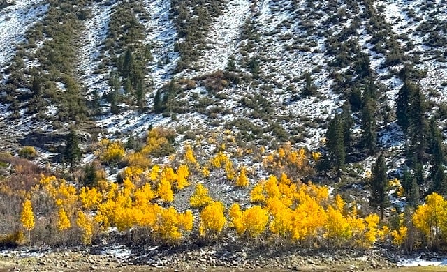 Image8