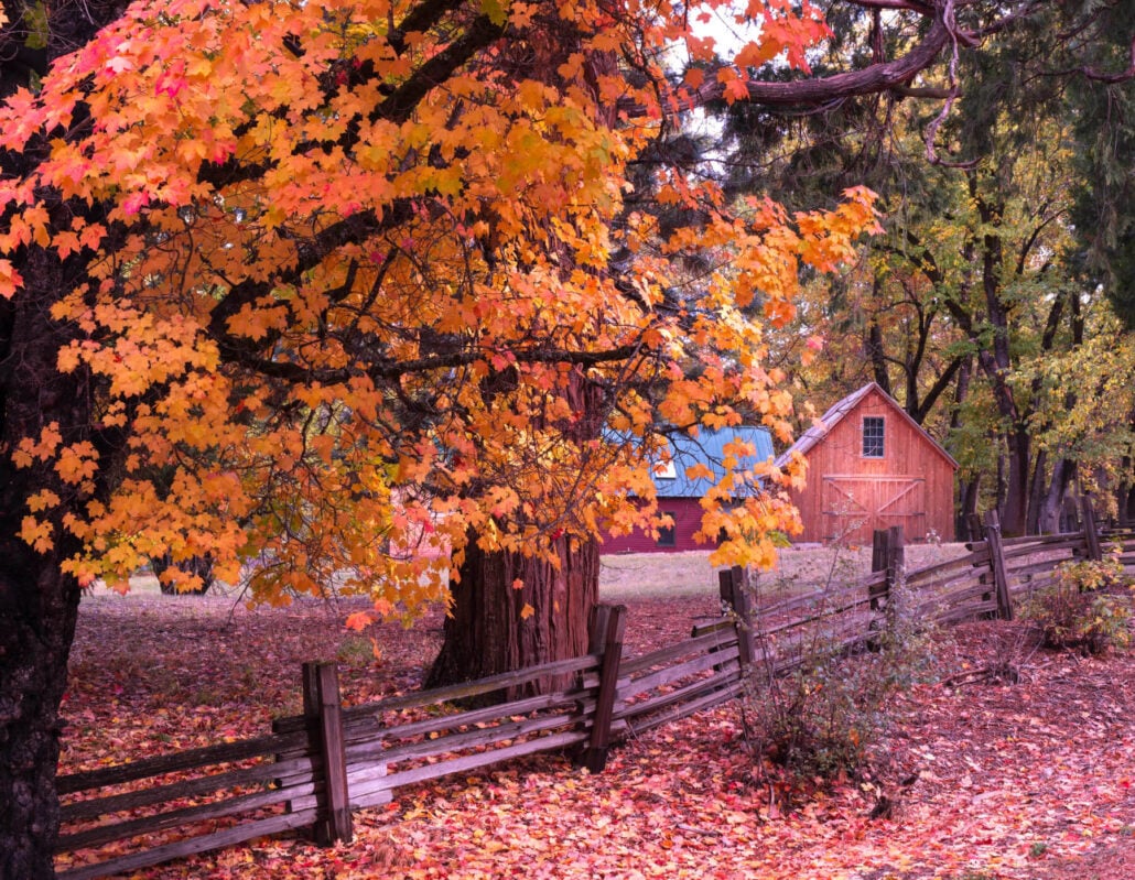 Postcard worthy at the thompson ranch laporte rd by bob blesse