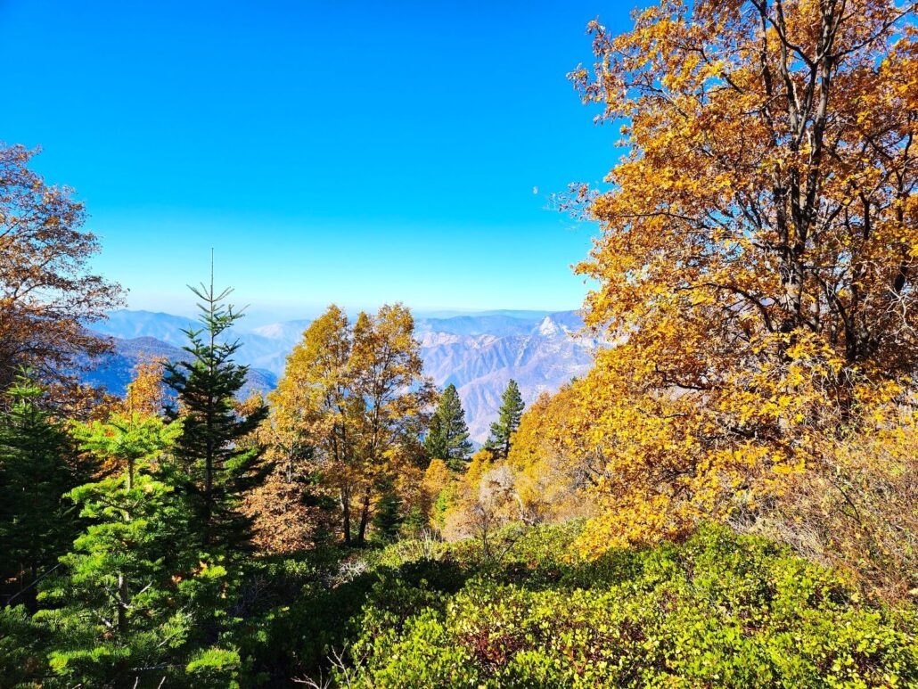 05 boole trail canyon view