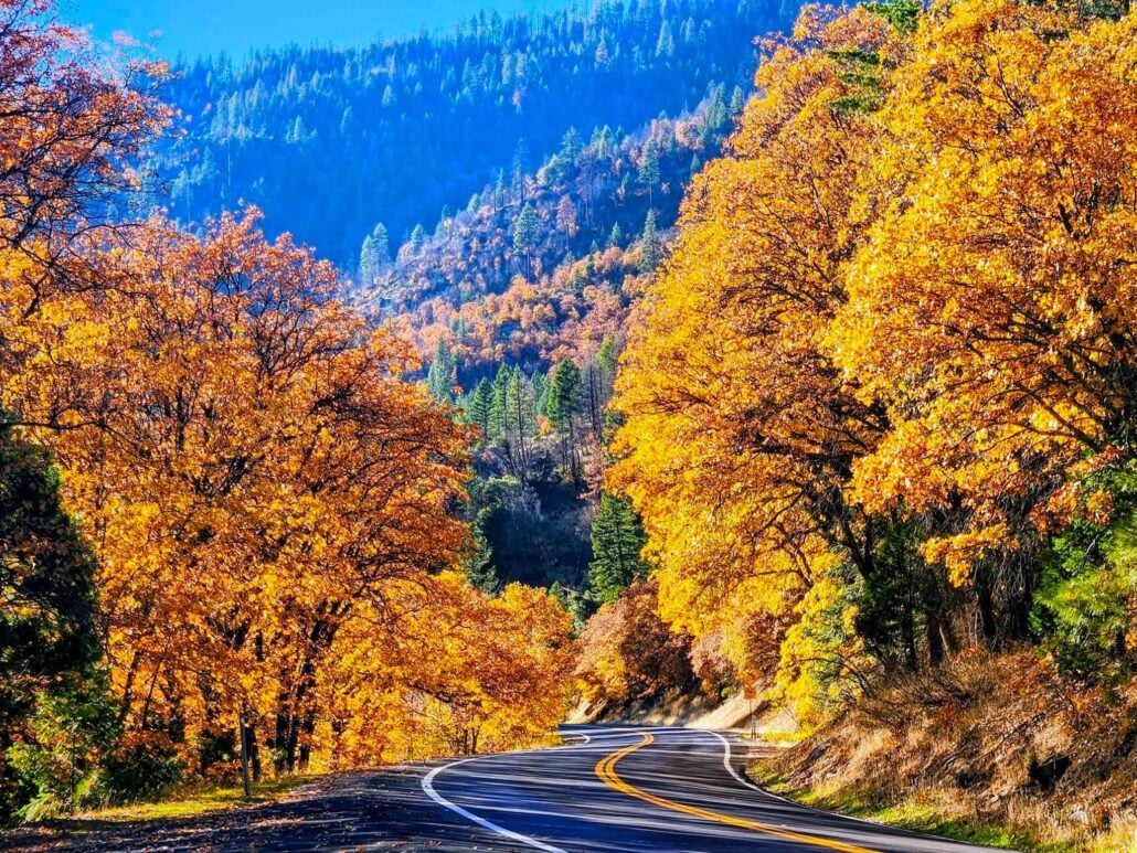 A beautiful road trip on hiway 89 near cresecnt mills by jeff titcomb