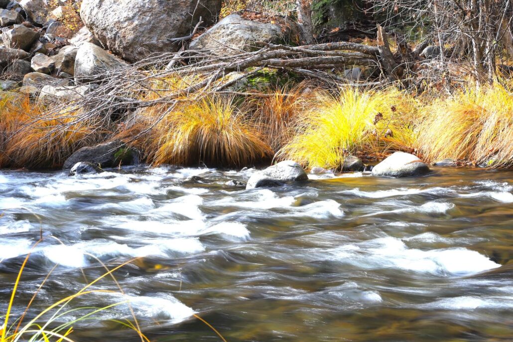 Butte Creek at Butte Meadows