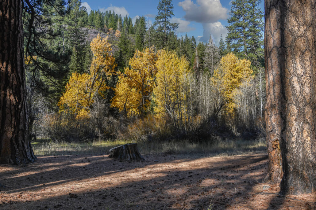Cold creek campground
